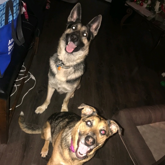 Meet your Posher, Jerrod - Picture 1 of 1